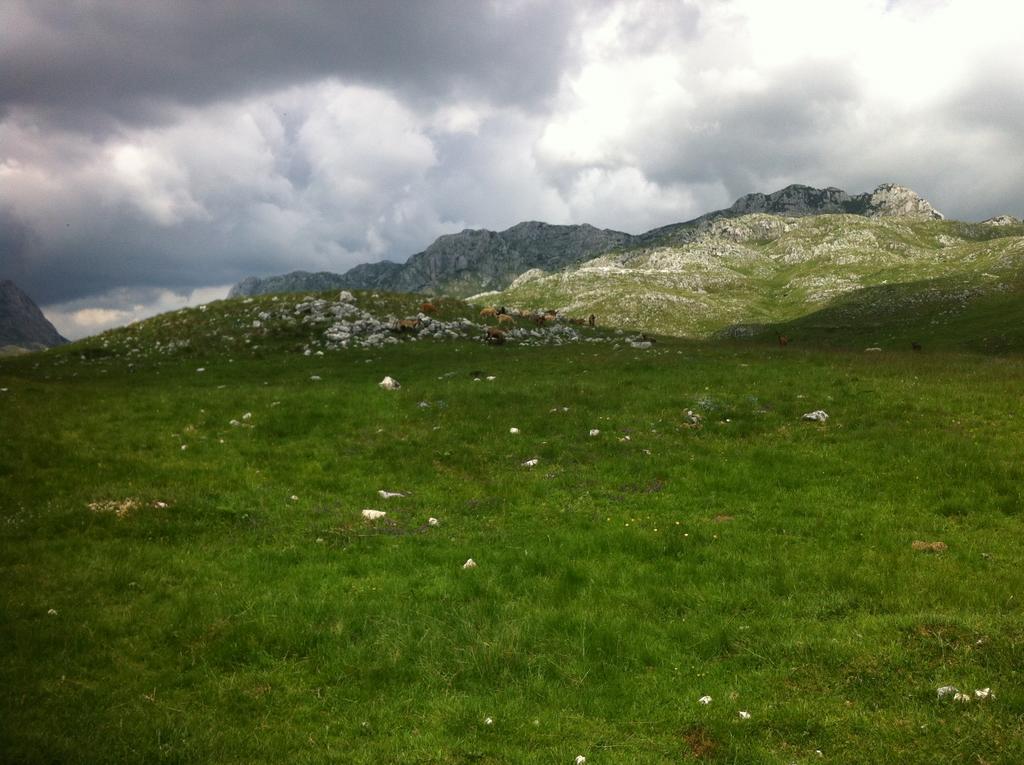 Boskovica Brvnare Casa de hóspedes Žabljak Exterior foto