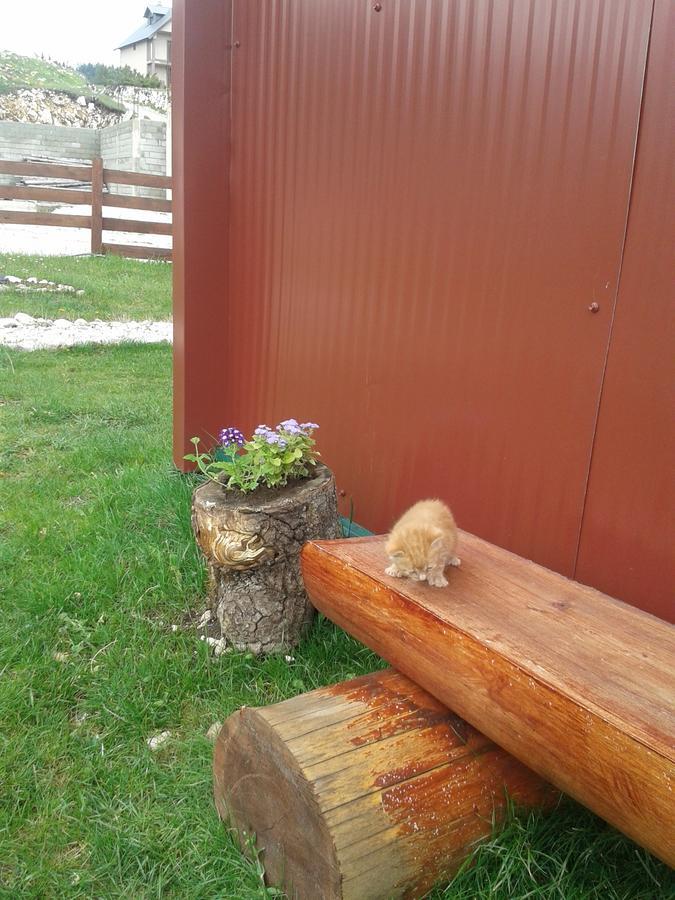 Boskovica Brvnare Casa de hóspedes Žabljak Exterior foto