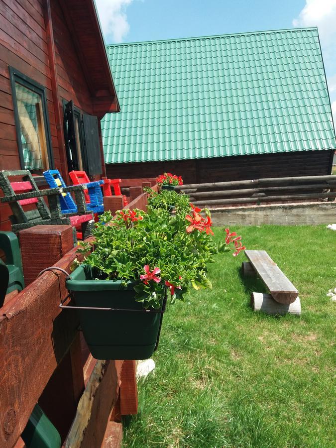 Boskovica Brvnare Casa de hóspedes Žabljak Exterior foto