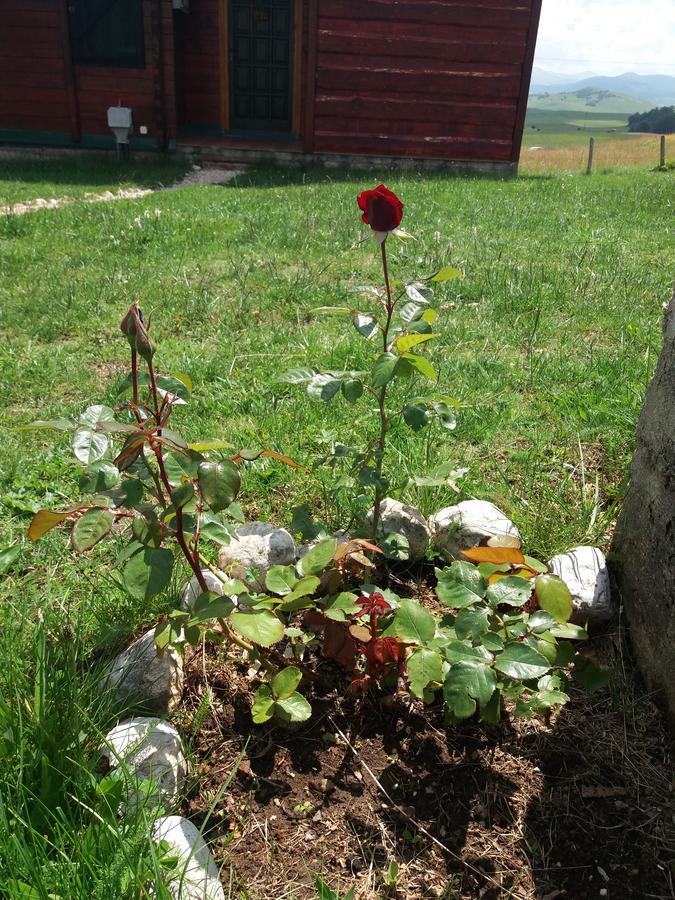 Boskovica Brvnare Casa de hóspedes Žabljak Exterior foto